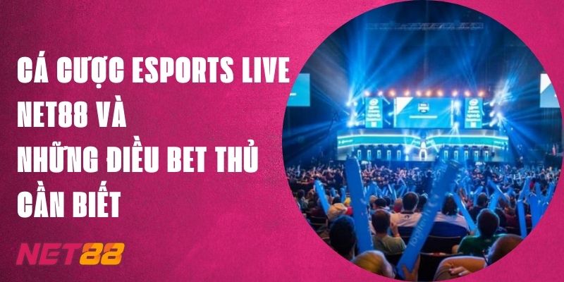 Cá Cược Esports Live Net88 Và Những Điều Bet Thủ Cần Biết